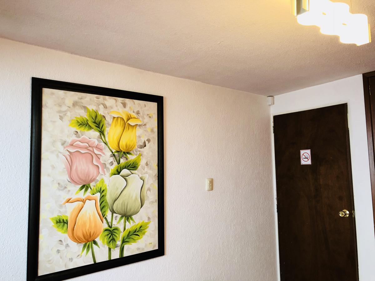 Casa Mima Bed & Breakfast San Luis Potosi Luaran gambar